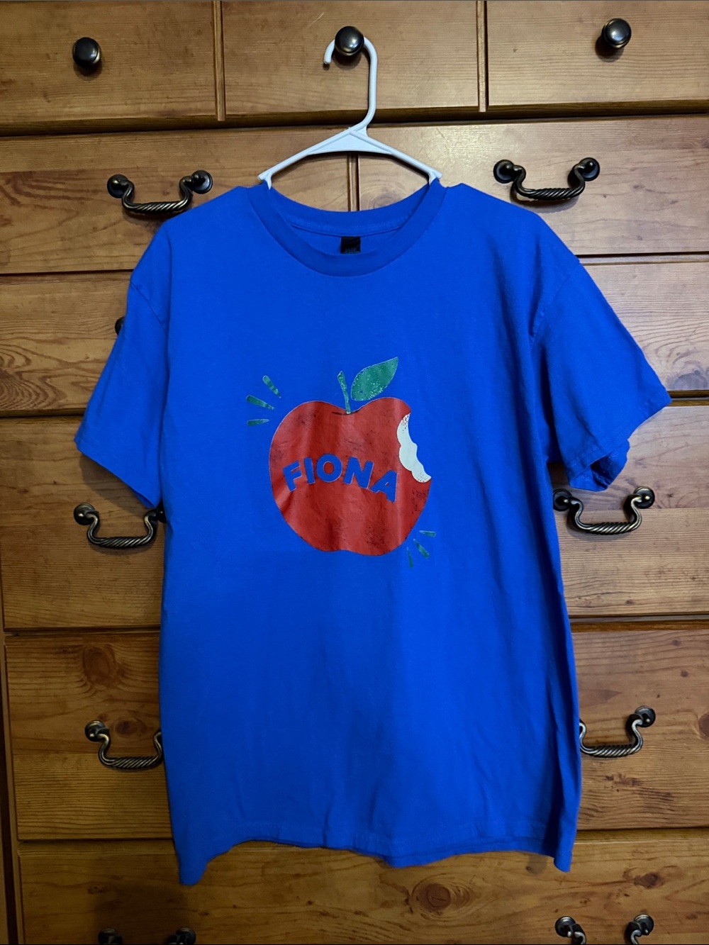 Gildan Royal Blue Tee with Fiona Apple Graphic